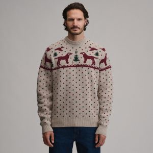 Men's Holiday Festive Crew Dog Sweater